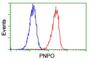 PNPO Antibody in Flow Cytometry (Flow)