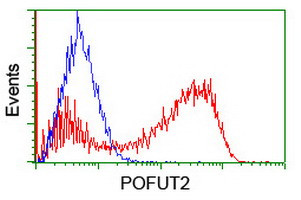 POFUT2 Antibody in Flow Cytometry (Flow)