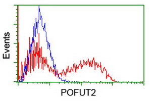 POFUT2 Antibody in Flow Cytometry (Flow)