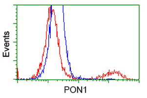 PON1 Antibody in Flow Cytometry (Flow)