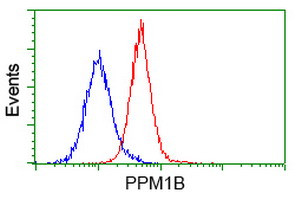PPM1B Antibody in Flow Cytometry (Flow)