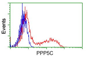 PPP5C Antibody in Flow Cytometry (Flow)