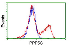 PPP5C Antibody in Flow Cytometry (Flow)