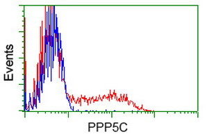 PPP5C Antibody in Flow Cytometry (Flow)