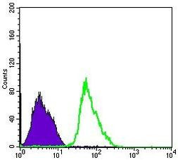 AMPK alpha-1 Antibody in Flow Cytometry (Flow)