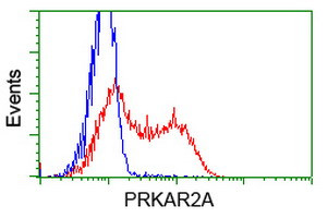 PRKAR2A Antibody in Flow Cytometry (Flow)