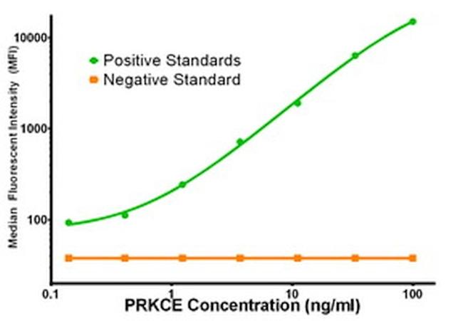 PRKCE Antibody in Luminex (LUM)