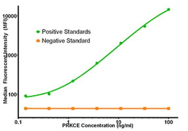 PRKCE Antibody in Luminex (LUM)