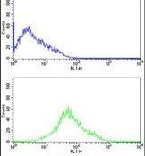 PACT Antibody in Flow Cytometry (Flow)