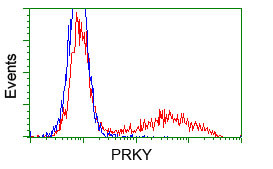 PRKY Antibody in Flow Cytometry (Flow)