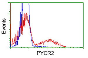 PYCR2 Antibody in Flow Cytometry (Flow)