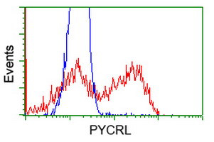 PYCRL Antibody in Flow Cytometry (Flow)