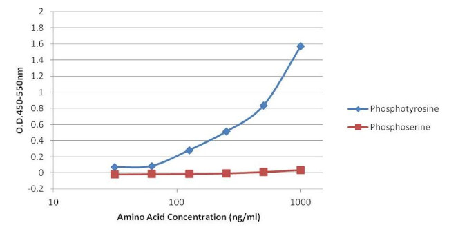 Phosphotyrosine Antibody in ELISA (ELISA)