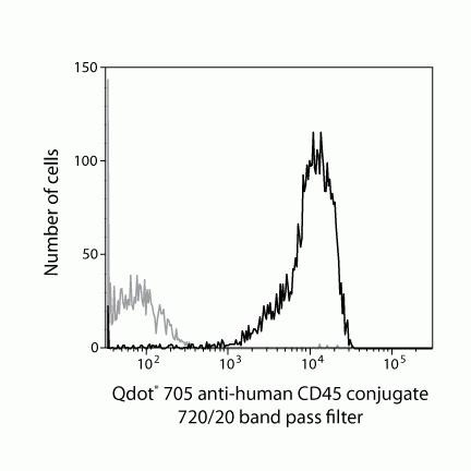 CD45 Antibody in Flow Cytometry (Flow)