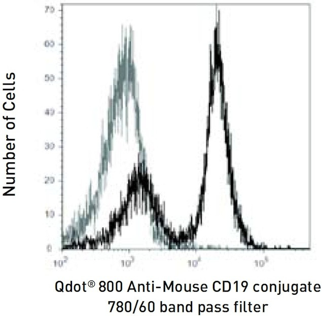 CD19 Antibody in Flow Cytometry (Flow)