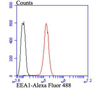EEA1 Antibody in Flow Cytometry (Flow)