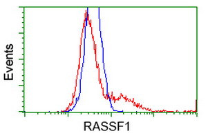 RASSF1 Antibody in Flow Cytometry (Flow)