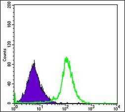 RBP4 Antibody in Flow Cytometry (Flow)