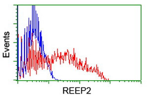 REEP2 Antibody in Flow Cytometry (Flow)