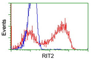 RIT2 Antibody in Flow Cytometry (Flow)