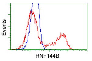 RNF144B Antibody in Flow Cytometry (Flow)