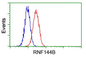 RNF144B Antibody in Flow Cytometry (Flow)