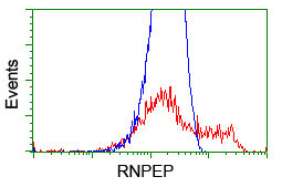 RNPEP Antibody in Flow Cytometry (Flow)