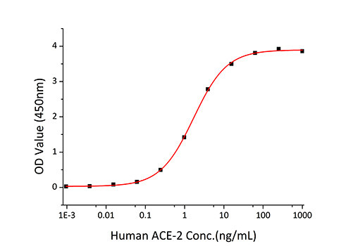 Thermo Scientific SARS-COV-2 SPIKE PROTEIN S-EC, Quantity: Each of 1