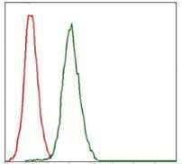 RPA70 Antibody in Flow Cytometry (Flow)