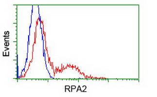 RPA2 Antibody in Flow Cytometry (Flow)