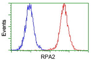 RPA2 Antibody in Flow Cytometry (Flow)