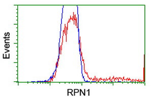 RPN1 Antibody in Flow Cytometry (Flow)