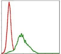 RSK2 Antibody in Flow Cytometry (Flow)