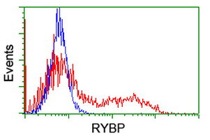 RYBP Antibody in Flow Cytometry (Flow)