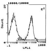 Rat Kappa Light Chain Secondary Antibody in Flow Cytometry (Flow)