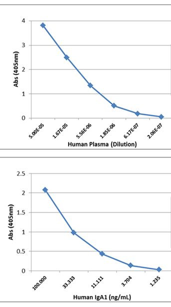 Human IgA1 Secondary Antibody in ELISA (ELISA)