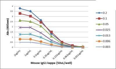 Mouse Kappa Light Chain Secondary Antibody in ELISA (ELISA)