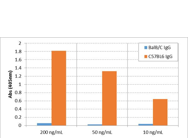 Mouse IgG2c Secondary Antibody in ELISA (ELISA)