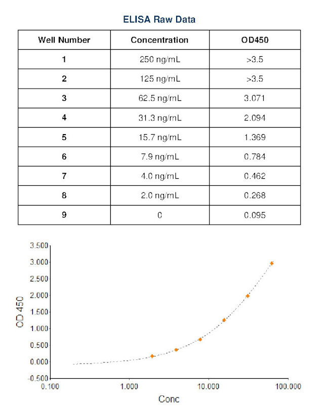 Rat IgG Fc Secondary Antibody in ELISA (ELISA)