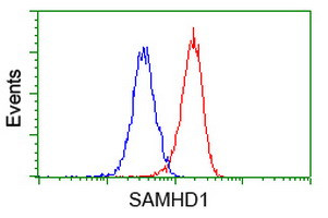 SAMHD1 Antibody in Flow Cytometry (Flow)