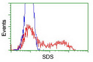 SDS Antibody in Flow Cytometry (Flow)