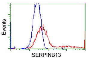 SERPINB13 Antibody in Flow Cytometry (Flow)