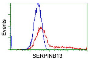 SERPINB13 Antibody in Flow Cytometry (Flow)