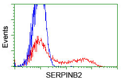 SERPINB2 Antibody in Flow Cytometry (Flow)