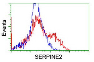 SERPINE2 Antibody in Flow Cytometry (Flow)