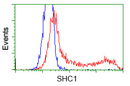 SHC1 Antibody in Flow Cytometry (Flow)