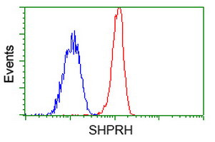 SHPRH Antibody in Flow Cytometry (Flow)