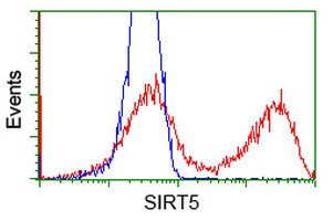 SIRT5 Antibody in Flow Cytometry (Flow)