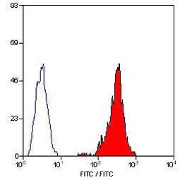 SLA Class I Antibody in Flow Cytometry (Flow)