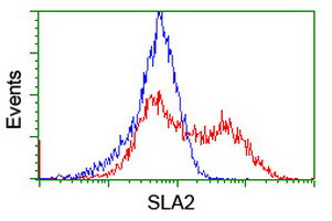 SLA2 Antibody in Flow Cytometry (Flow)